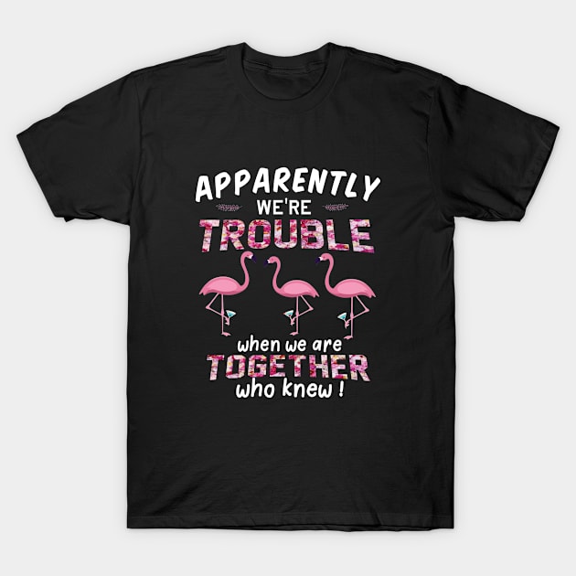 apparently were trouble when we are together who knew T-Shirt by followthesoul